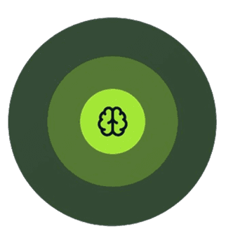 Brain Icon